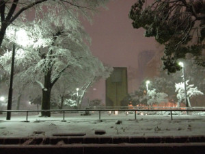 写真-2014-02-14-23-53-54